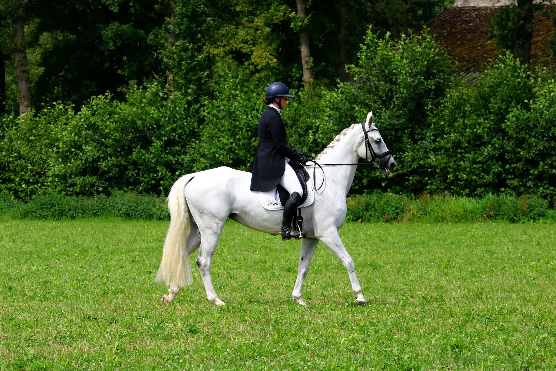Dressage aux Écuries de Brochemerle